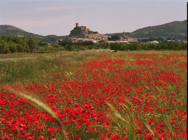 Vista del Castillo